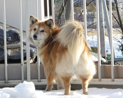 ����H�J�����ς�����H