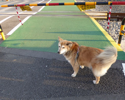 �������݂�������