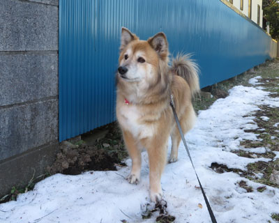 �J���������ɖ߂��ĂȂ��H