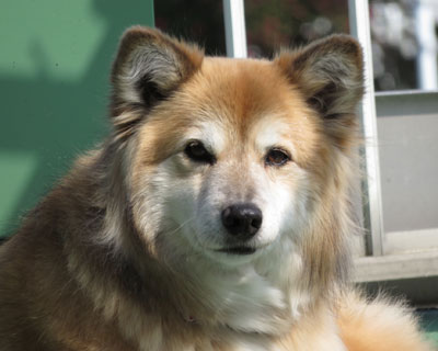 �Ǝv������܂��ς���Ă�