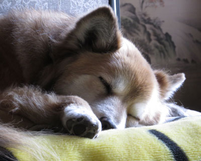 �܂��_���������񂾂�