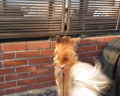 ���F�B�Ɉ��A