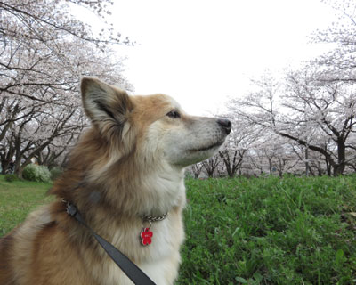 ���N�̍��͈�C�ɏI�����