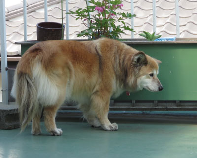 ���Ȃ��ӂ�