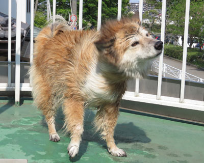 ������������