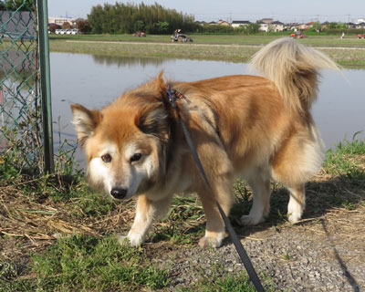 �c��ڂɐ�����������