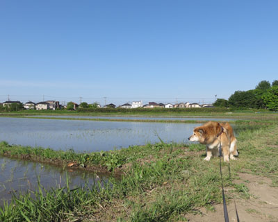 �c�A�����I��