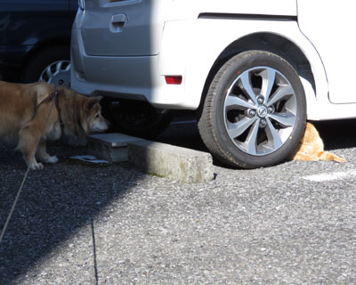 �˂������H