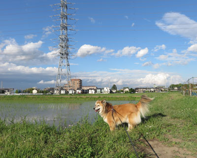 �T�����ɂ����Ȃ�ҏ�