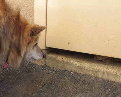 �܂��˂������H