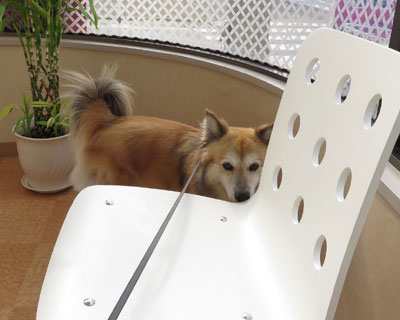 �a�@���炢