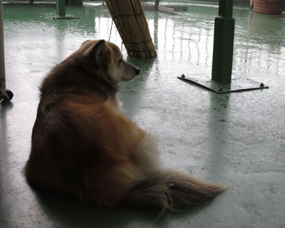 �[������