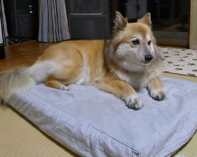 �@�肷����ƃx�b�h���ړ�����