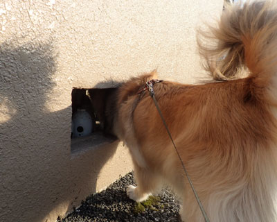 �˂�����