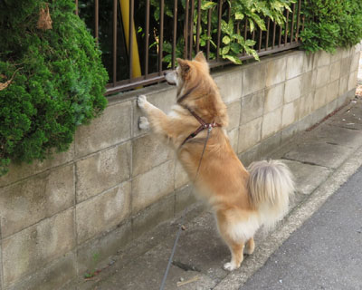 �˂�����H