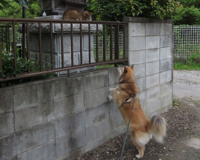 �˂�����