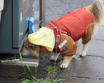 ���̋@�̉���`���Ȃ͂�߂Ȃ���