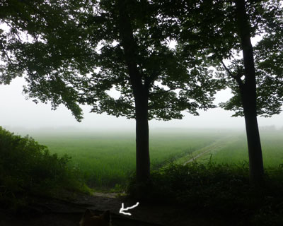 �Z���𒭂߂�