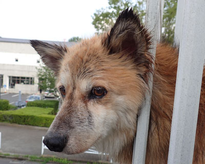 �������Ȃ����ꂽ