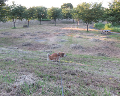 �g�C�����L�X����