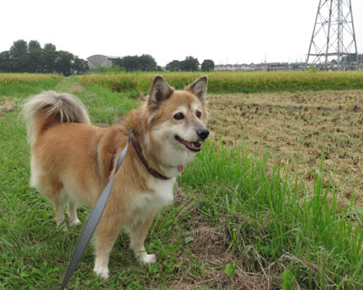 ��肪�n�܂���