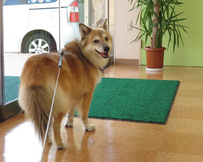 �a�@���炢