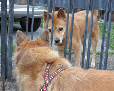 �V�j�A�̈��A