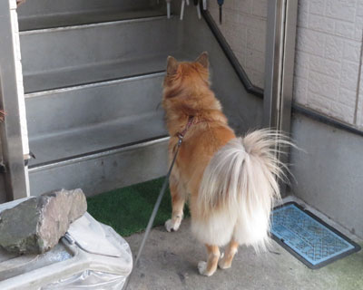 �V�j�A�̗F�B��������