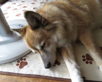 ���낻���@�����I��肩��