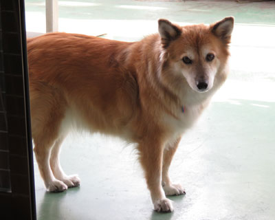 �܂��Ȃ́H�̊�