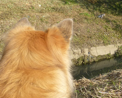 �˂�����