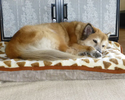 �ѕz���o��