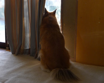 �O�ɍs������