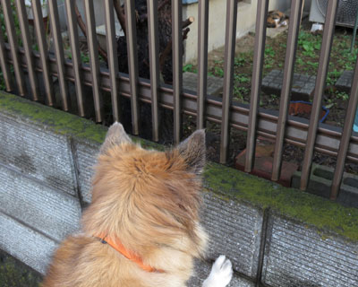 �˂�����񂢂�I