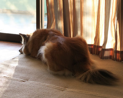 �O�ɏo�����Ă�