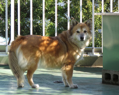 �����C�z������