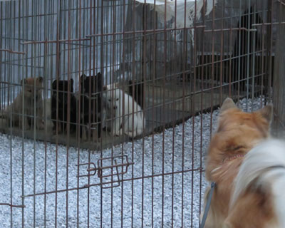 �������������������ς�