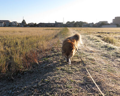 �����~�肽