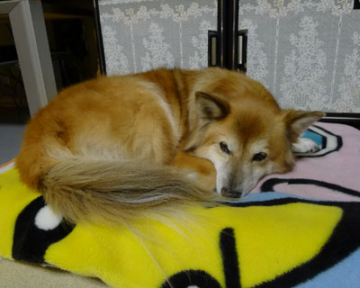 �ѕz�������Ȃ���