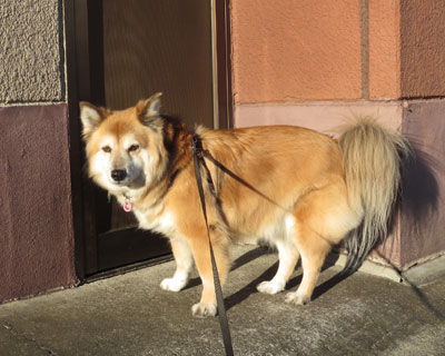 �˂��T������