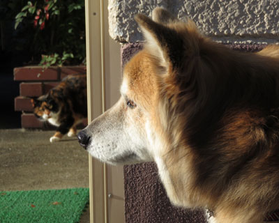 �ӊO�ɋC�Â��Ȃ�