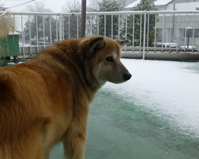 ���N�̐�͂���ڂ�����