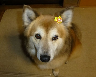 ����̐���