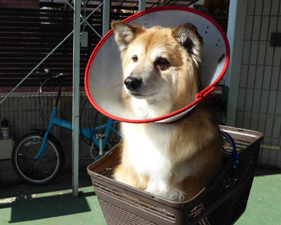 �h�i�h�i�h�`�i�E�E�E