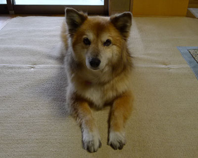 ����悱���Ȃ���