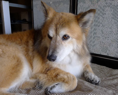 ����Ă��܂���