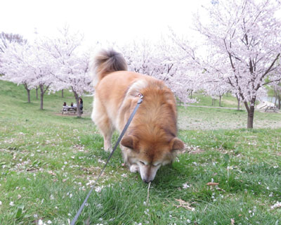 �����j�I�C�k��