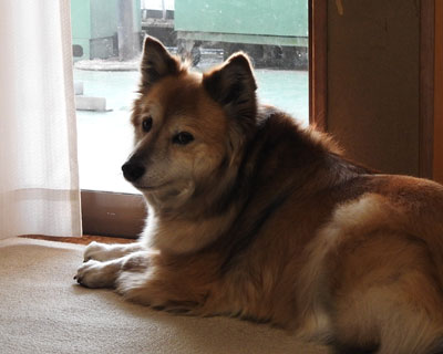 �O�ɏo����