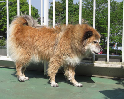 �܂����ꂽ