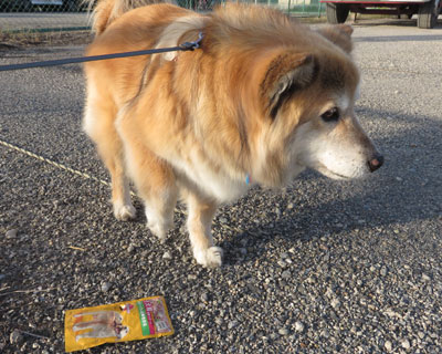 �E���H�����Ƃڂ���